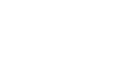 light logo